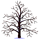 celus_02274.gif