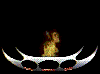 celus_02785.gif