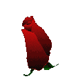 rose1.gif